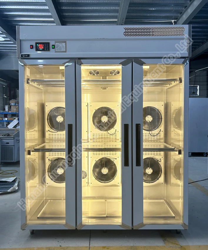 Thawing Equipment, 220V-240V, Stainless Steel - detail 10