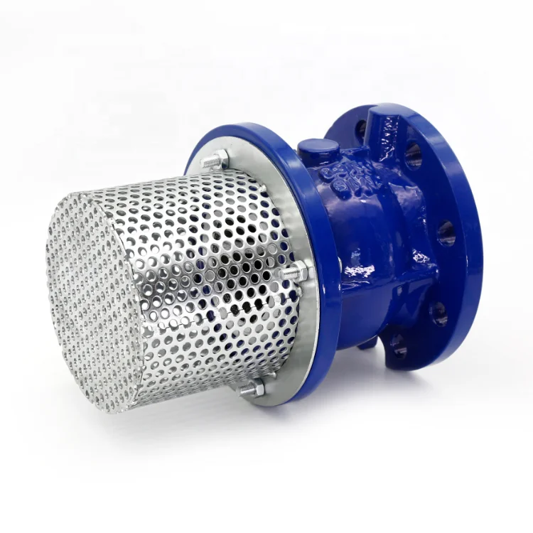 Ductile Iron Iso Standard Flange Type 6" Diameter Foot Valve