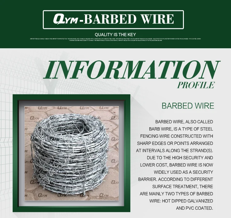 Galvanized Steel Barbed Wire Double Strand Barb Wire - Buy Barbed Wire ...