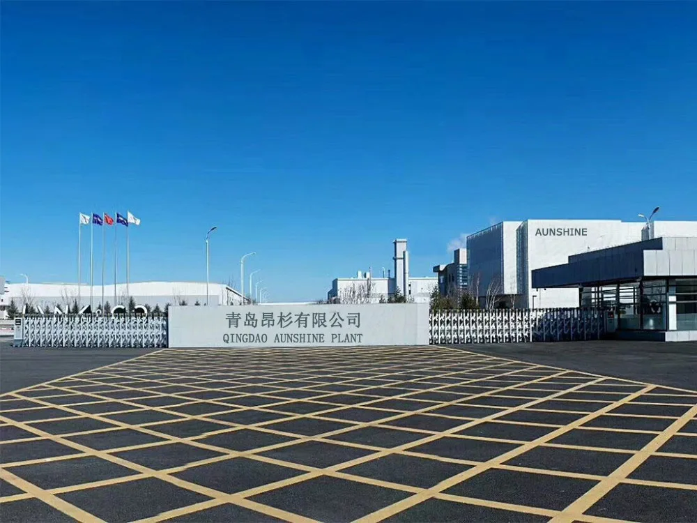 Qingdao Aunshine Technology Co., Ltd. 1