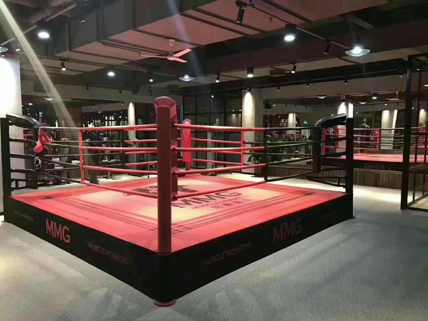 Professional Customized Size Logo Table Flooring Boxing Ring Price PVC Canvas Taekwondo Karate Wrestling Judo Boxing Ring