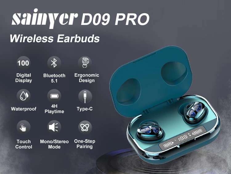 D09pro_01