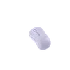 Pourpre