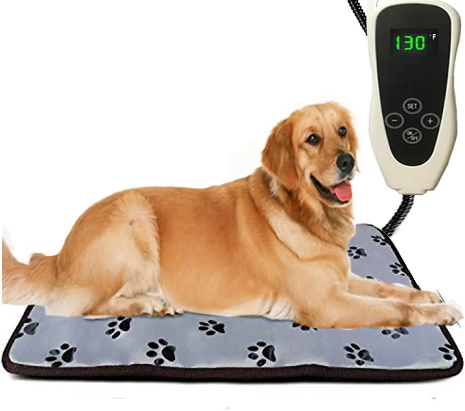 Does Heating Pad Help Dog Arthritis