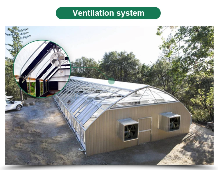 Mushroom Greenhouse Design Buy Greenhouse,Greenhouse For Mushroom
