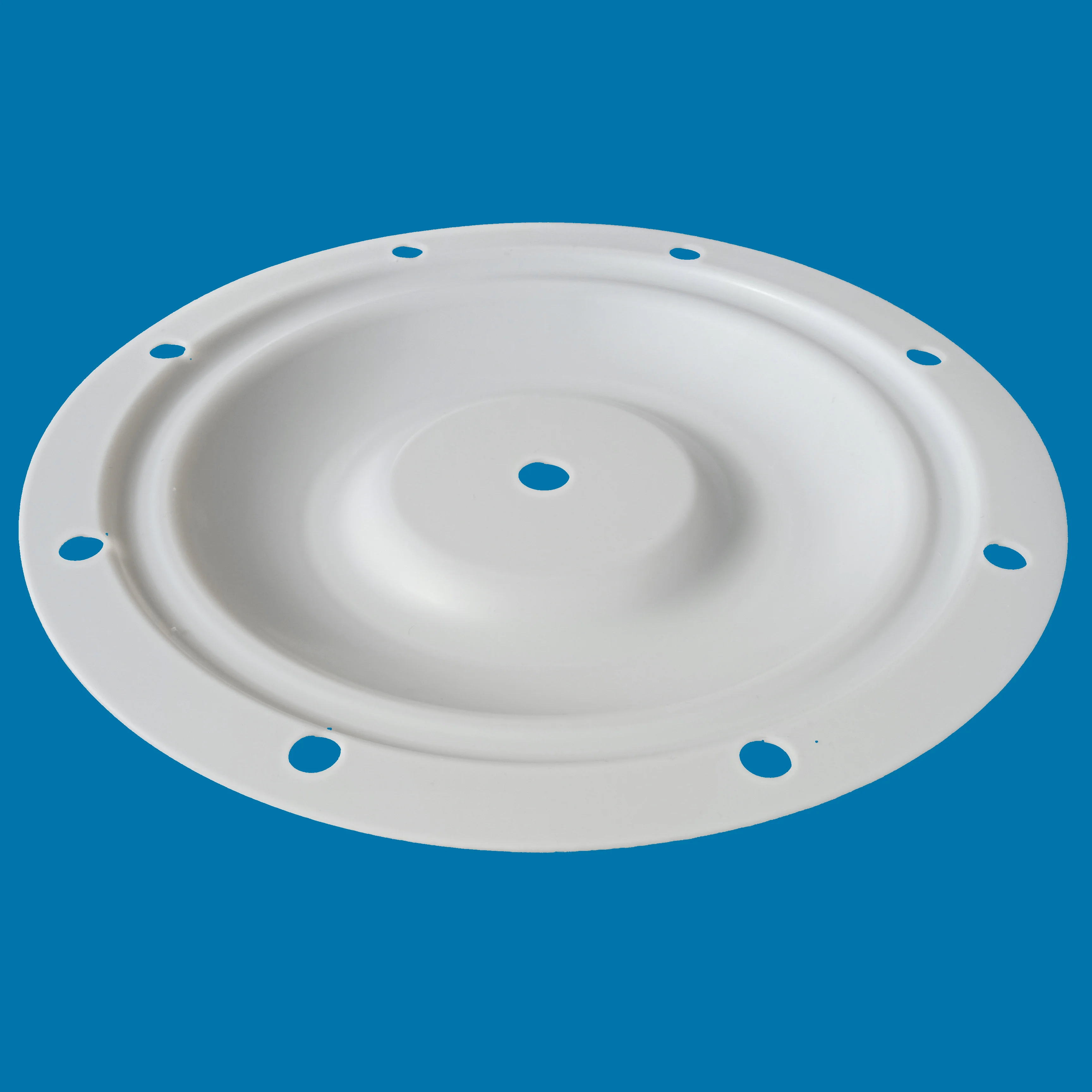 Customized Product PTFE Diaphragm 25-016 for Air operated Double Pneumatic Diaphragm Pump 25-016 factory