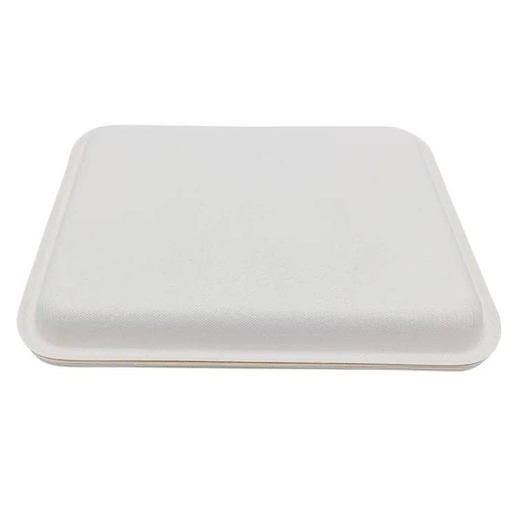 PFAS-free Disposable Compostable Tray  Rectangular Meat Tray Sugarcane Pulp Tray Paper Plates