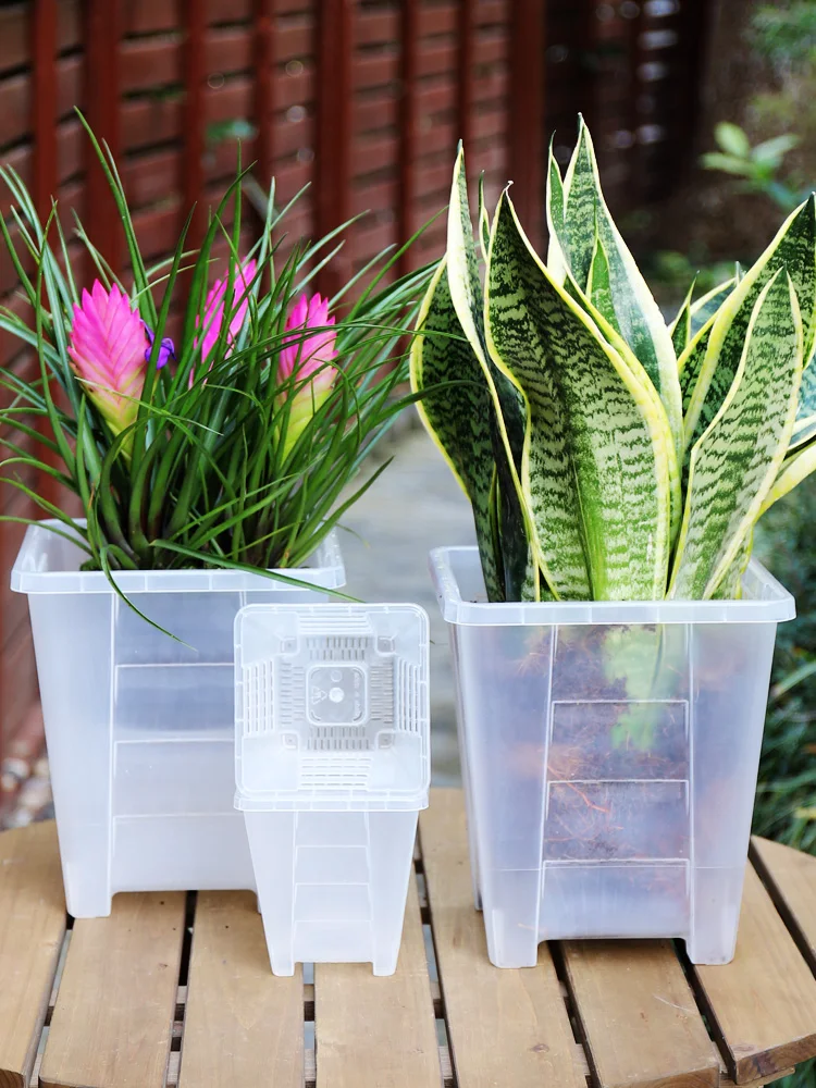 Transparent Plastic Orchid Flower Pots Orchid Pots Holes Clear Mini