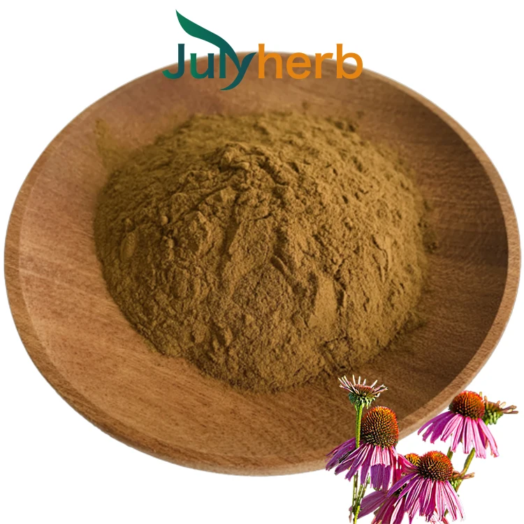 Echinacea purpurea extract powder