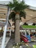 Artificial Canary Date Palm Large (9m 29.53ft)
