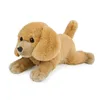 Golden retriever 30 cm-021 kg