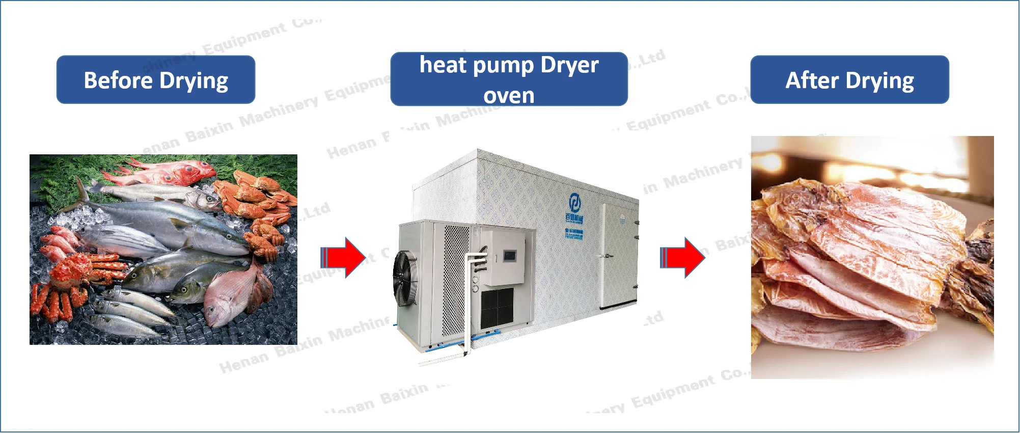 Industrial Heat Pump Vegetable Dryer Tomato Drying Machine Tomato Drier ...
