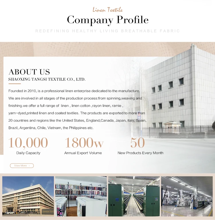 Medium-Weight Eco-Friendly Rayon Nylon Fabric Custom Colors for Shirts & Dresses Woven Techniques supplier