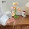 rose nu