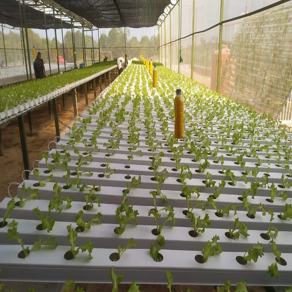 nft hydroponic system
