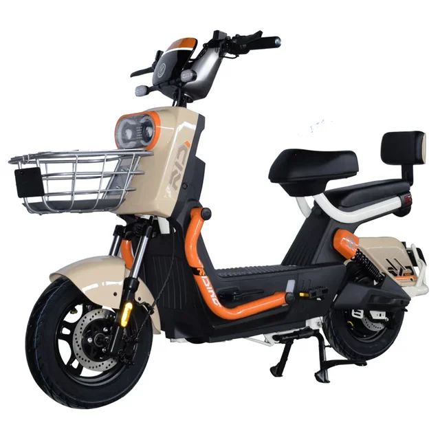 Hot Sale Factory 800w Motor 60v Double Disc Brake Ebike Electric Bike for Adults