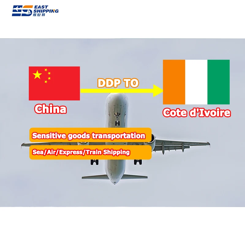 East Shipping Agent To Cote d'Ivoire Freight Forwarder Sea Freight FCL LCL Container Shipping To Cote d'Ivoire