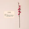 กิ่งยาว - กุหลาบแดง