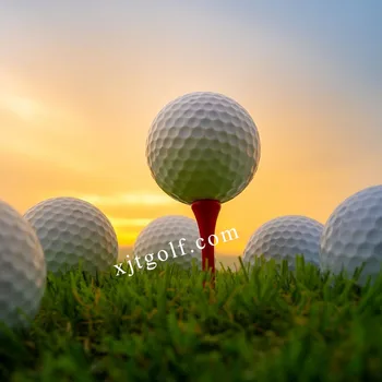 Vice Golf - Palline Da Golf Vice Tour Bianche (una Dozzina) - ePRICE