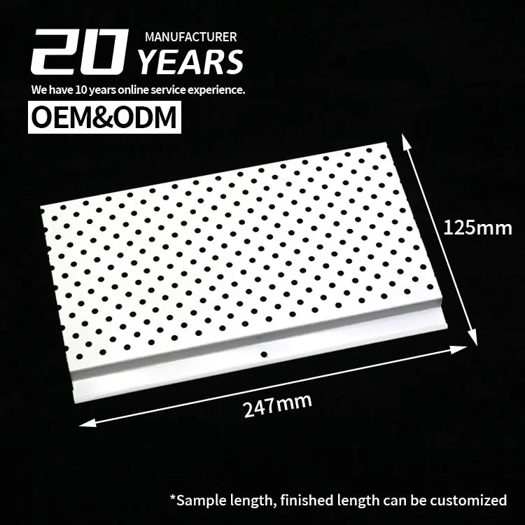 5 Inch Perforated Gutter Guard for Leaf Filter Gutter Roof Protection