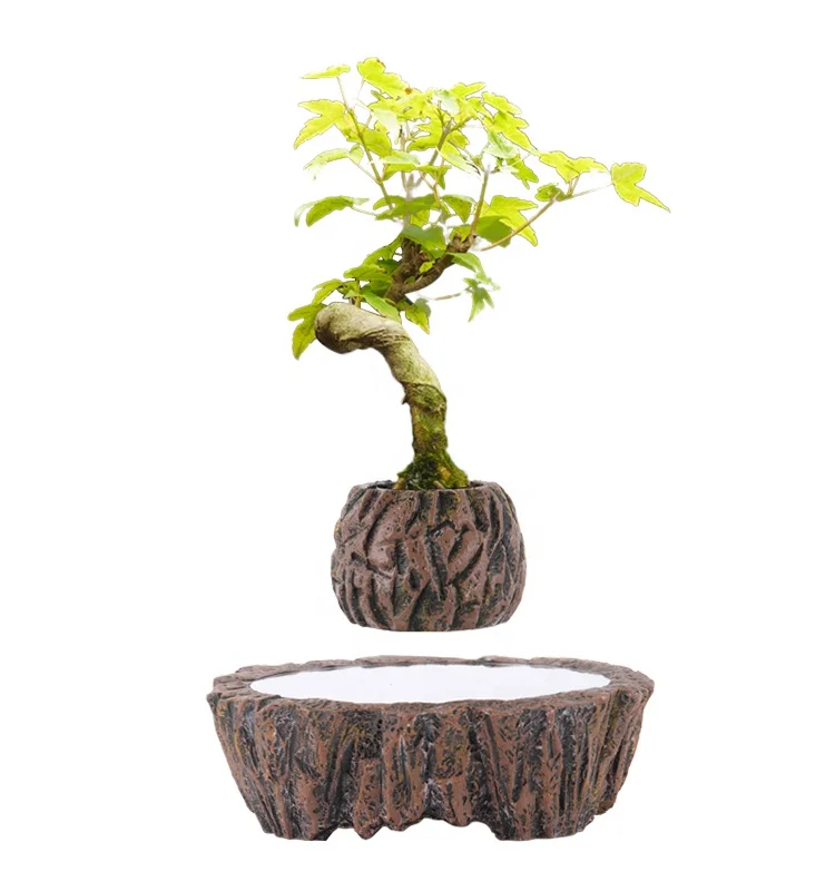 1pc Pot De Fleurs Magnétique En Lévitation Pot De Plantes - Temu