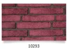 10293
