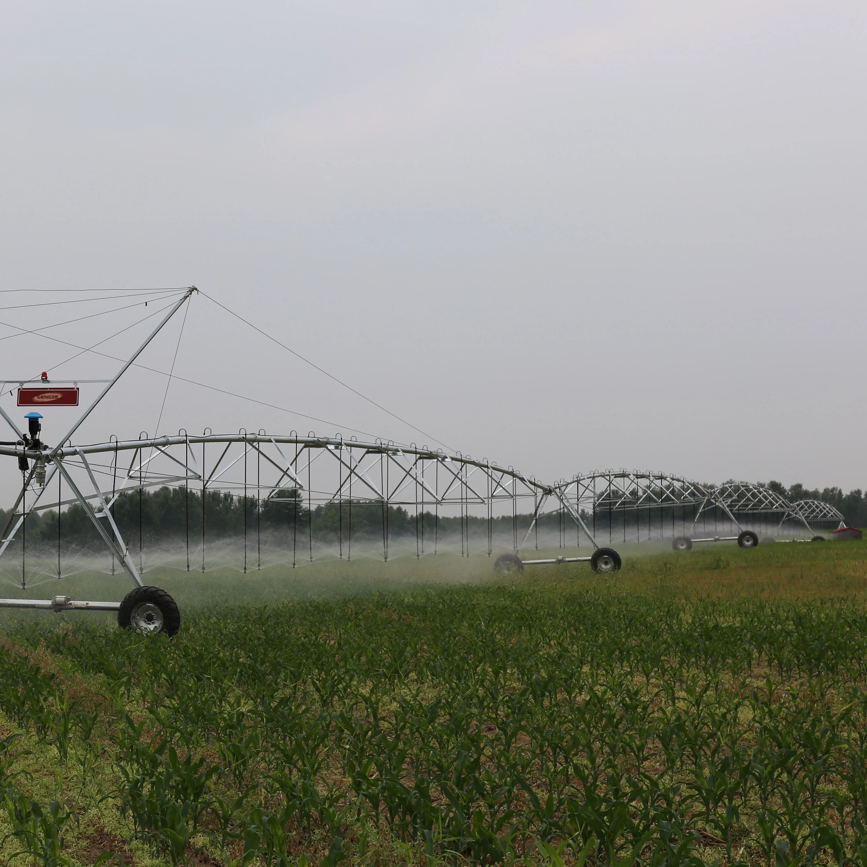 High Efficiency Farm Rotating Center Pivot Irrigation Overhead Pivoting Irrigator for Russian
