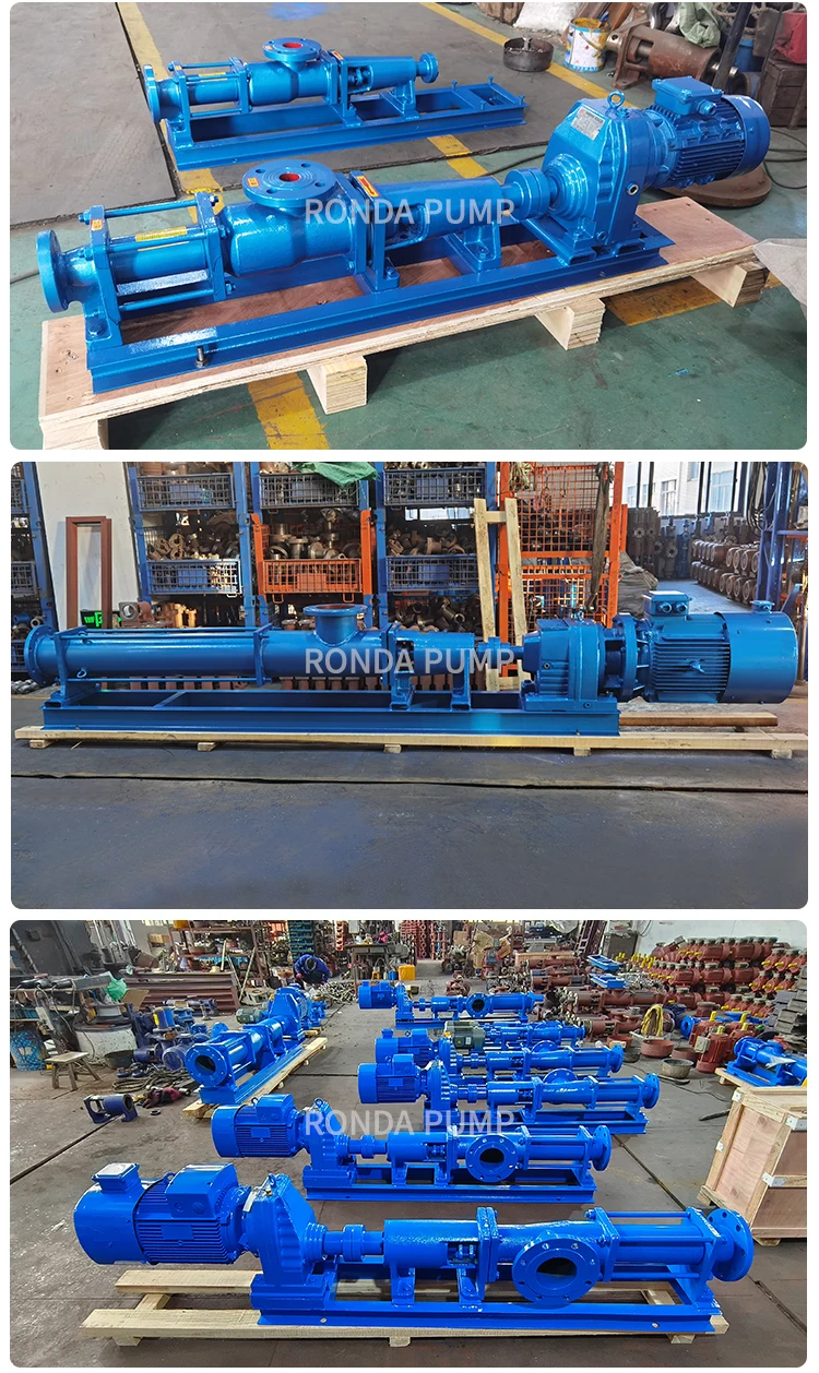 G Horizontal Single Screw Progressive Cavity Industrial Sludge Pump For