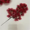 29 pedidos de tuya roja