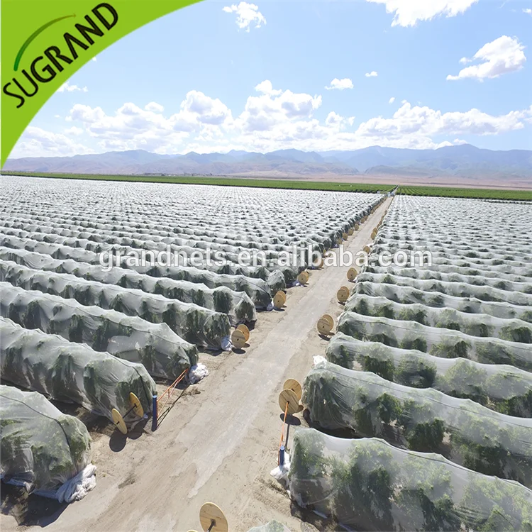 Cheap Price Bee Netting Anti Hail Protection Net