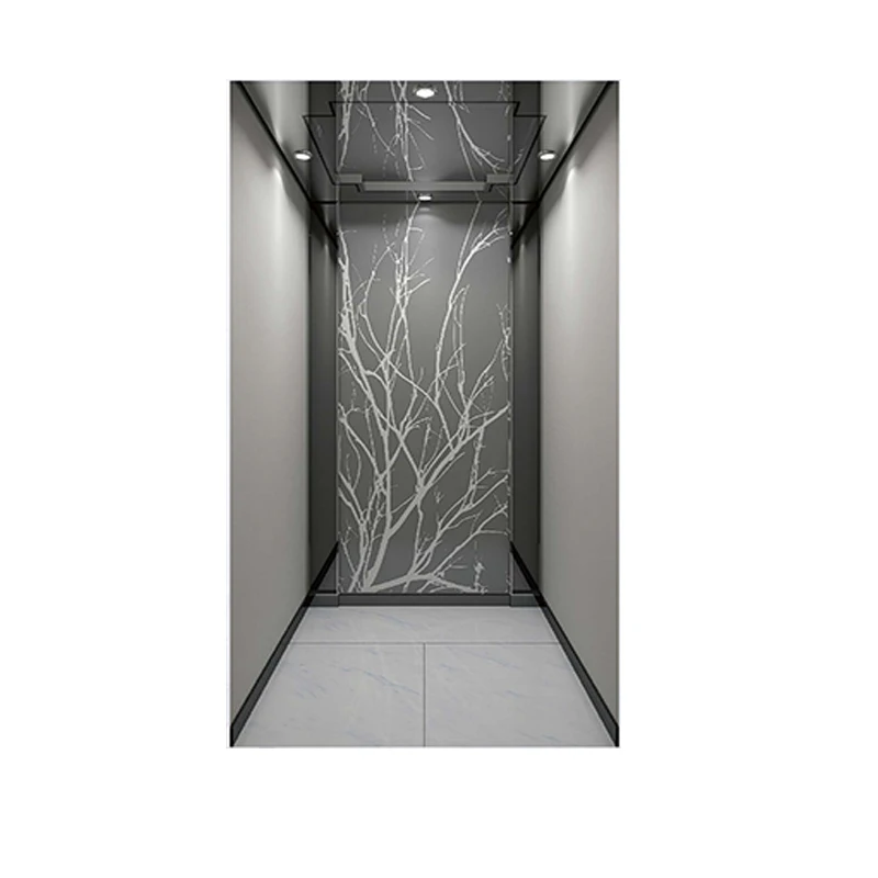 6 этажей пассажирский коммерческий небольшой домашний Лифт лифта для строительства