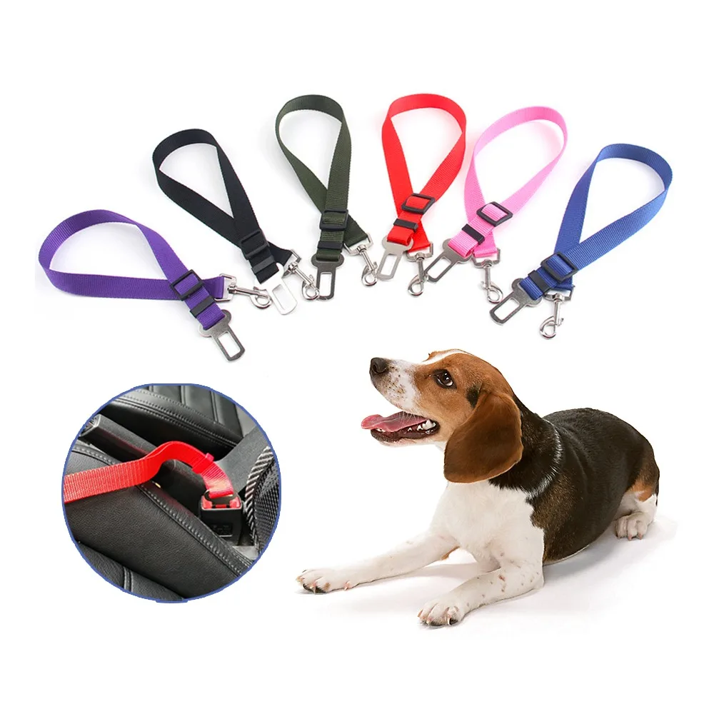 dog belt wholesale