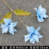 Blue Trident Lily Branch