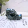Cabeza de Dragón de Labradorita