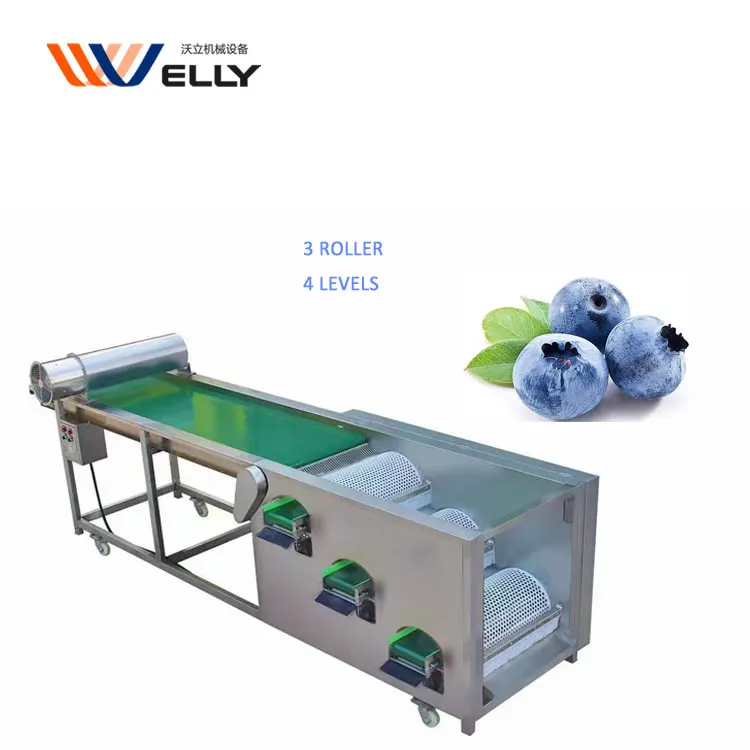 More Convient Automatic Blueberry by Size Sorter Grader Machine With Cushioning Material