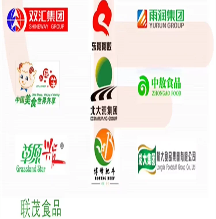 Automatic high performance shrink packaging machine for meat and food processing plants
