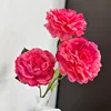 Rose rouge