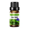 A TEA TREE