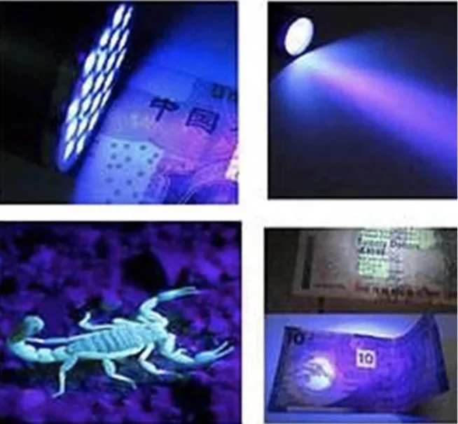 Clover UV 9 LED Mini Blacklight Flashlight Torch Light 395nm UV Flashlight for Scorpion Money Detector Hunter Finder
