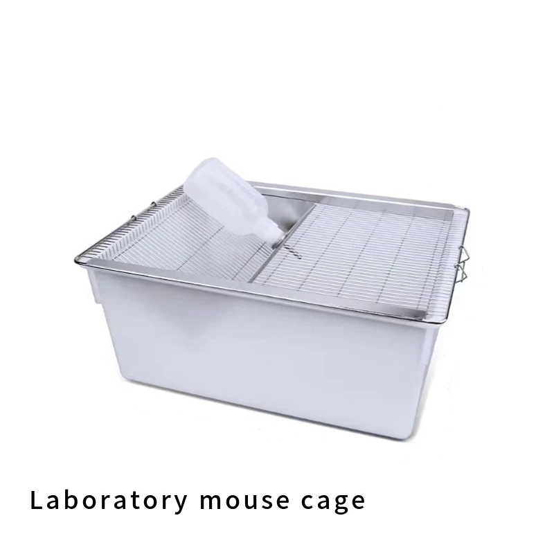 Lab Mouse Group Cages Durable and Versatile Solutions