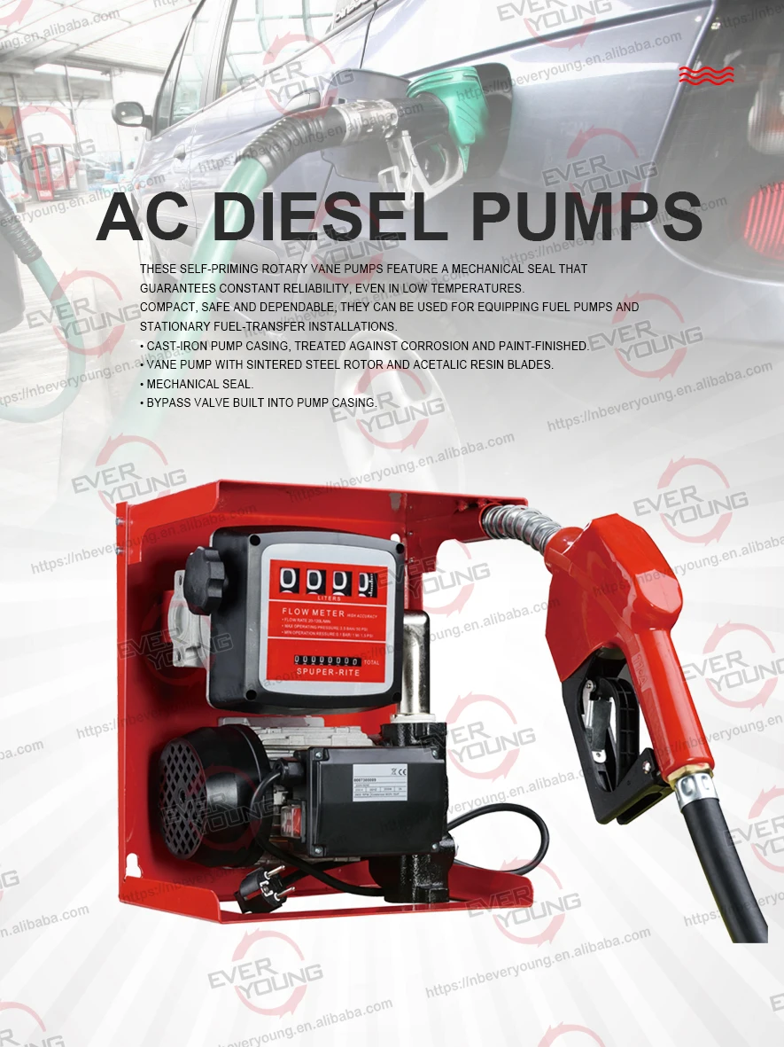 Diesel Dispenser Pump Set Ac Fuel Transfer Pump With Meter 110v Oil
