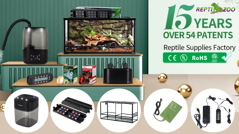 Snapshot of Reptile Care And Feeding Recommendations