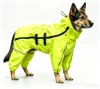 Fluorescent Lime Green