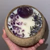 Cáscara de coco