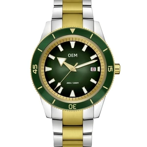 ODM OEM Custom Mechanical Watches Automatic High Quality Super Luminous 300M Waterproof Divers Watches Men Gold Plated