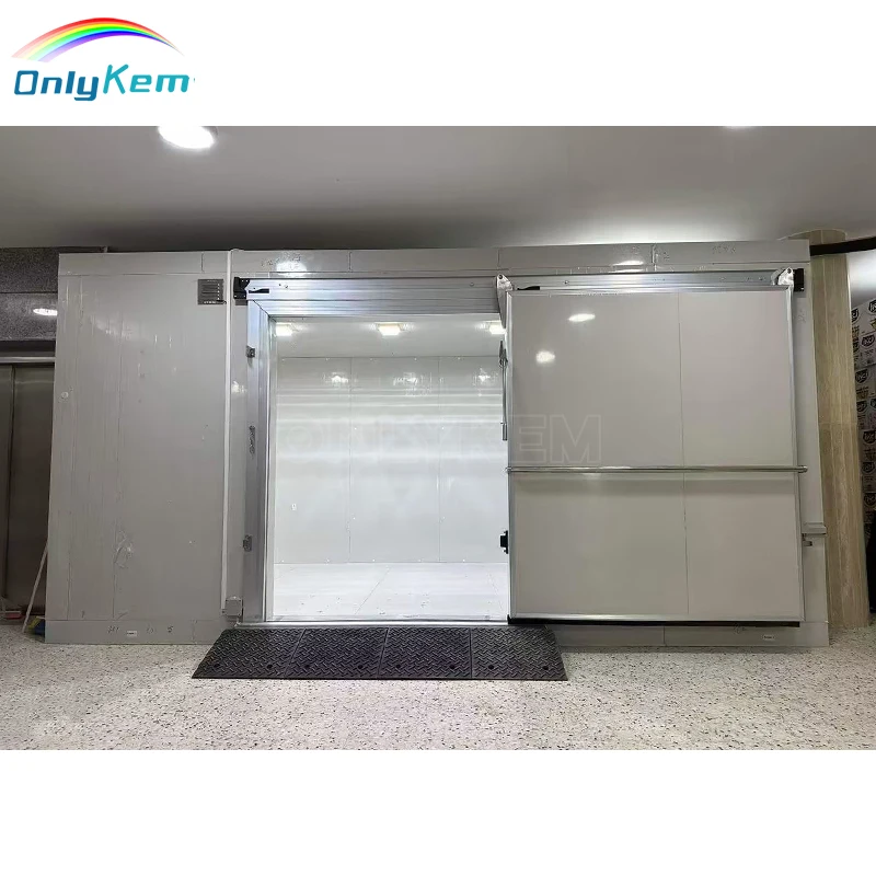 ETL 1 Tons Walk-in Cooler Door and Freezer with Good Insulation for Fish Cold Room Storage