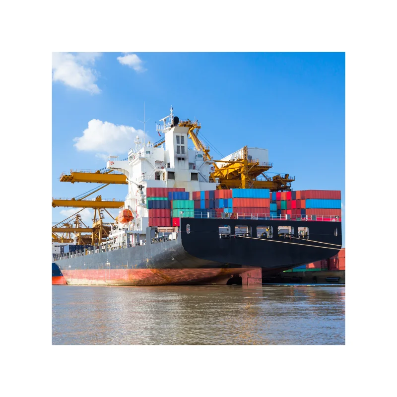 Sea Freight Forwarder DDP LCL Shipping Rates China to AU china australia export and import shipping service