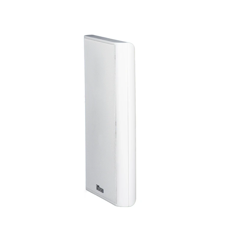 Thinuna XS-25 Pa Sound System Speaker Audio System Sound 20W Slim Super Slim Wall Mounted Speaker for School