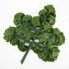 12 rami di ginkgo verde
