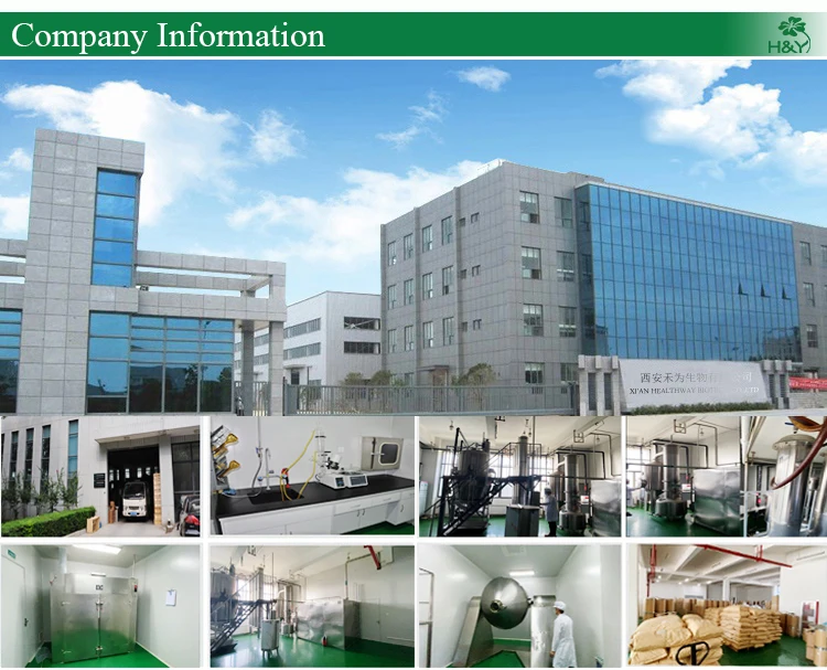 OEM Pumpkin Concentrate Extract Pumpkin Juice Powder Pumpkin Powder